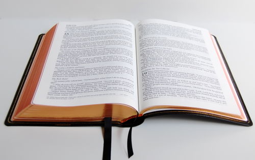 Open Bible
